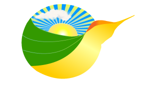MINDRISE THERAPY